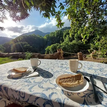Casa Barranco
